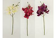 Orchidea, barva mix béžové, vínové a růžové barvy. Květina umělá.