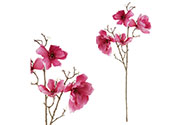Magnolie, 4 květy, tm.růžová barva.