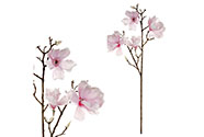 Magnolie, 4 květy, sv.růžová barva.