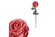 Růže - umělá řezaná květina, barva meruňková.